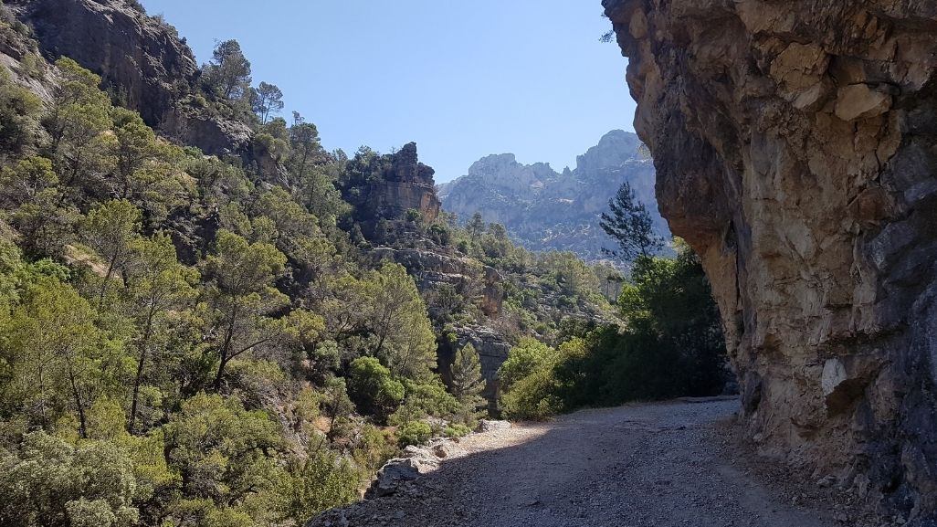 Gestión de apartamentos turísticos en Cazorla