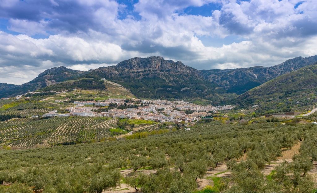 Gestión de apartamentos turísticos en Cazorla